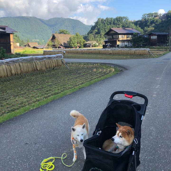 D51e1c90 518e 422f a98a 64d82b90391f 1600757092744