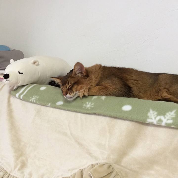 D51e3d49 474f 44c3 9292 aebeb66431cd 1582336486607