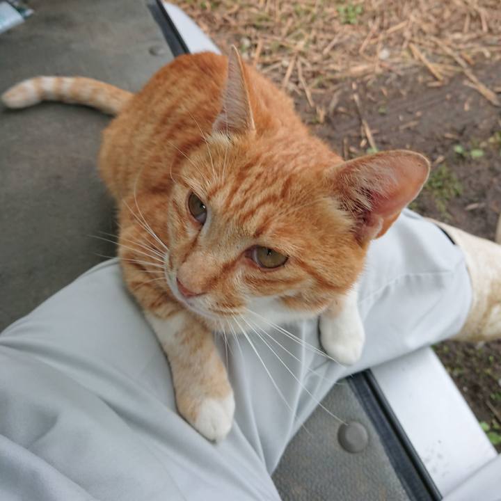 D51e7c48 6055 46a4 81cc 7ce03e97bdda 1594978091472