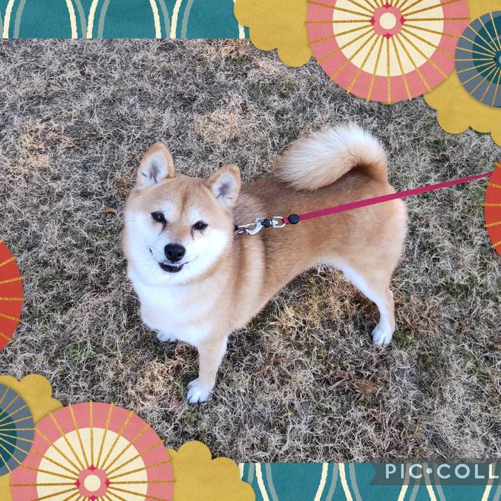 D51ed480 fe08 4a6d 9143 eb15ef45070c 1736739110275