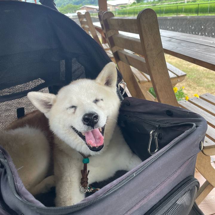 D51ee6d2 1682 4361 877f 588910b8d9f7 1722681571950