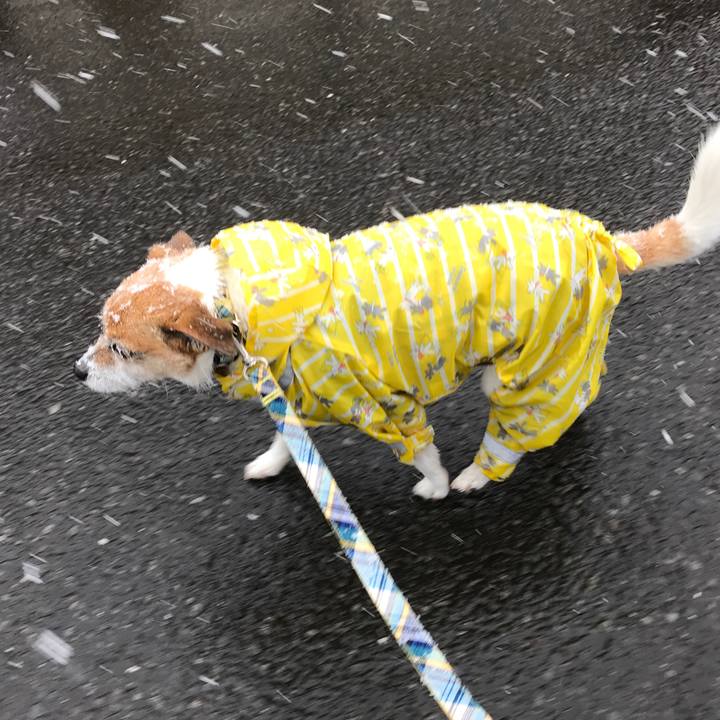 D51f2d96 3df6 4bb6 b3c3 51daab26341e 1585449393263