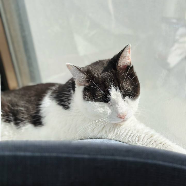 D51f31f3 6258 4727 b5da b9f5cf485ff8 1715130637914