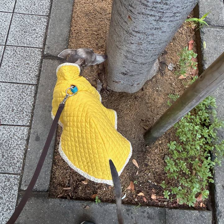 D51f57a2 37bd 4bc2 8312 10779c399753 1762070783624