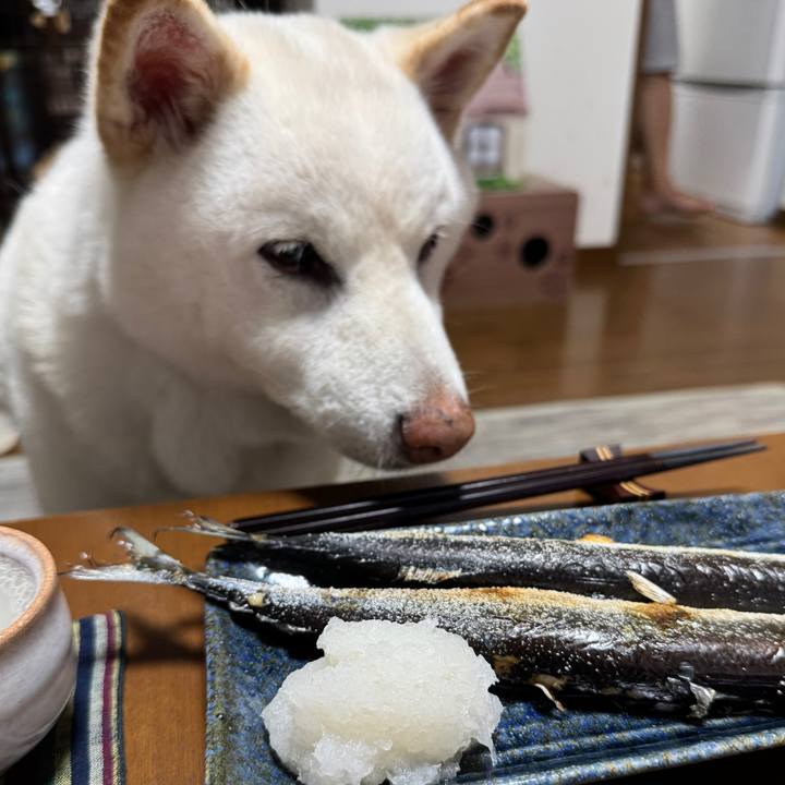 D51f5836 0600 4ac9 9d25 e7b6062c53a8 1754999763039