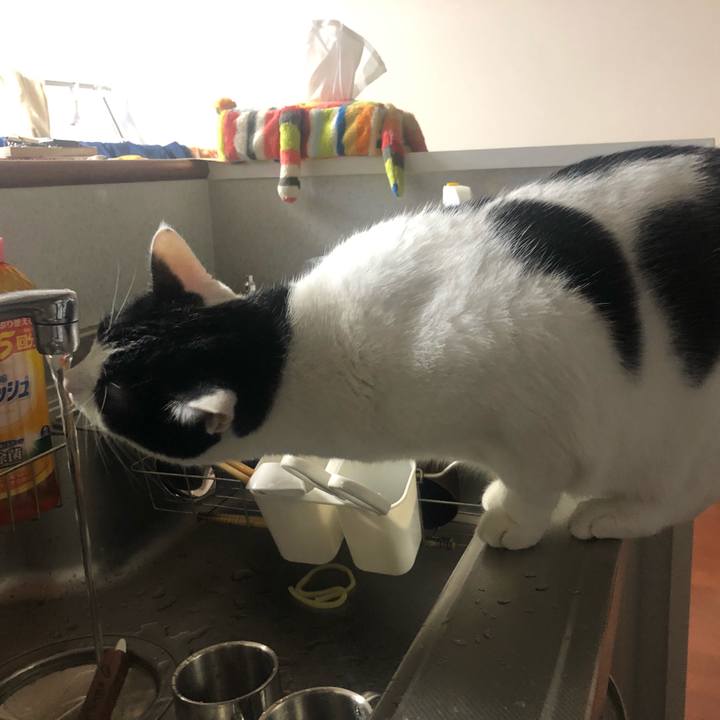 D51f5a69 c657 410a b57c cce2b7c8c88d 1571665539322