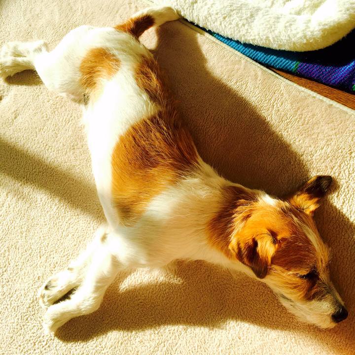 D51f5da9 5dcd 45d6 94b2 7c09fc611cad 1547185561695