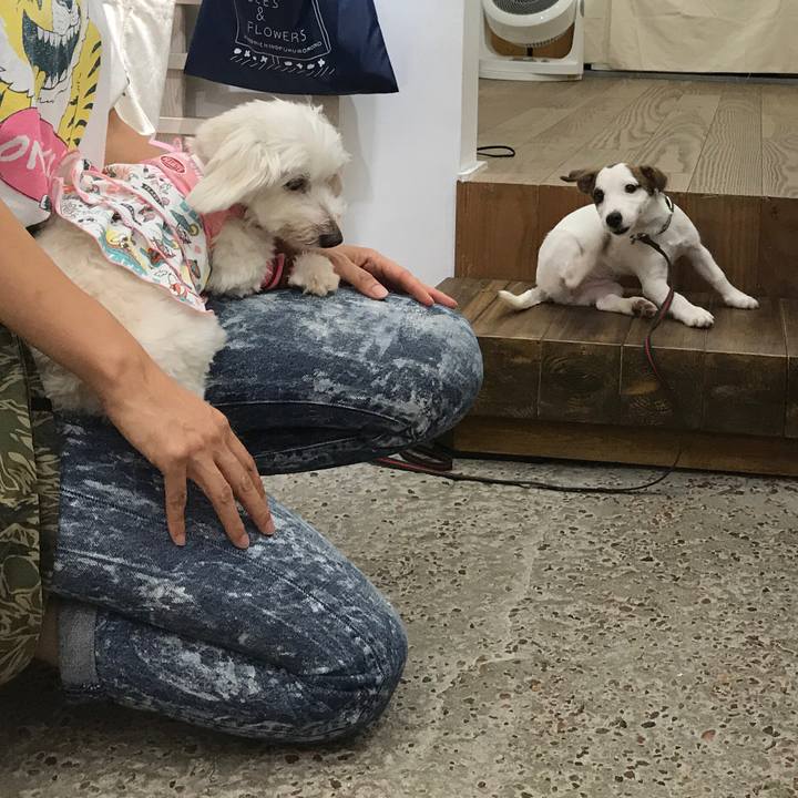 D51fa7d0 b2e7 41f6 bec2 f9de5fa53457 1535287058884