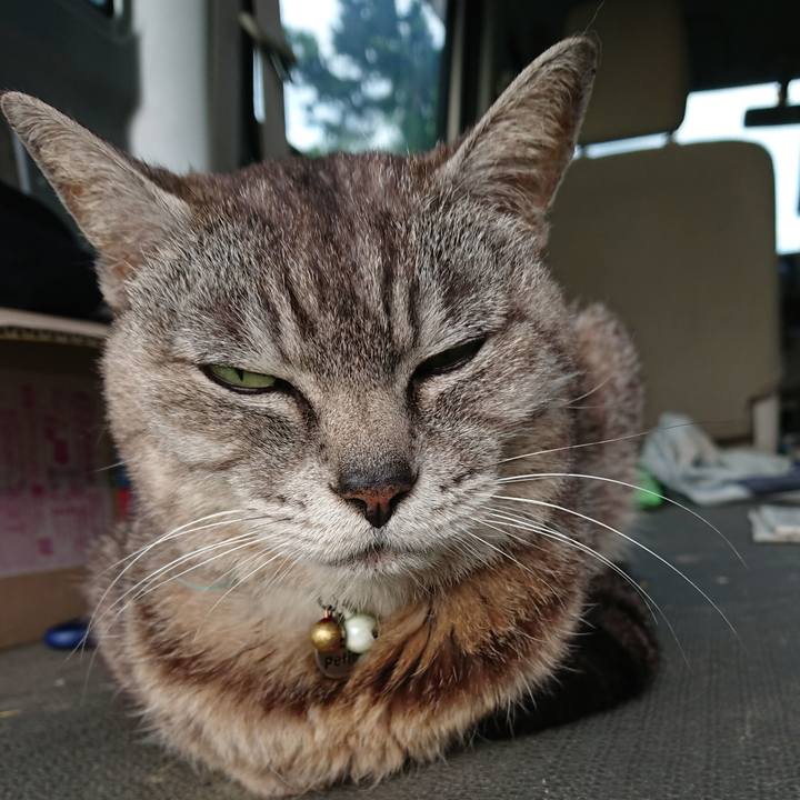 D51fc181 2e23 4d65 ac7b dca5eefb20ee 1563224683007