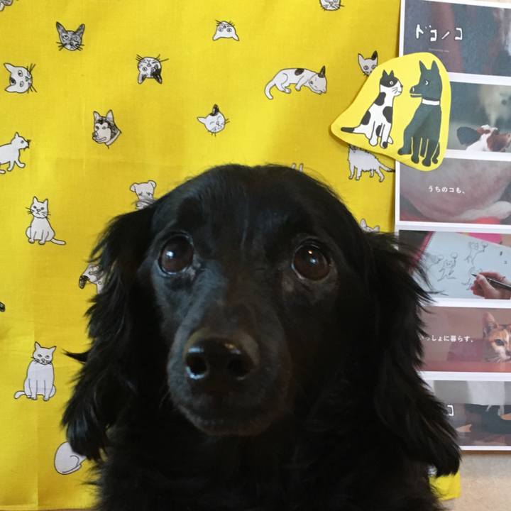 D51feae7 da60 4e19 9dfc 3eefc4e07d49 1622849622964