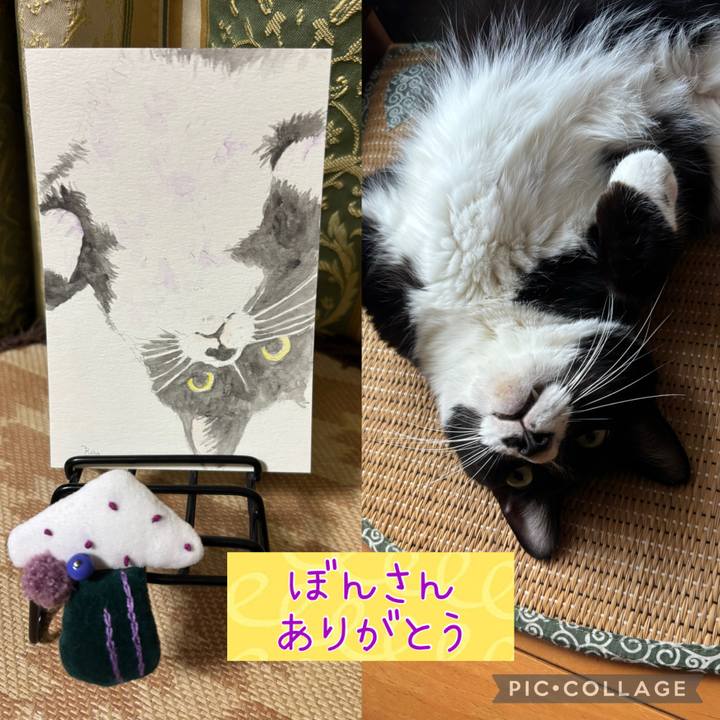 D5200f22 72e2 468e 8910 022c89a66935 1758104589123