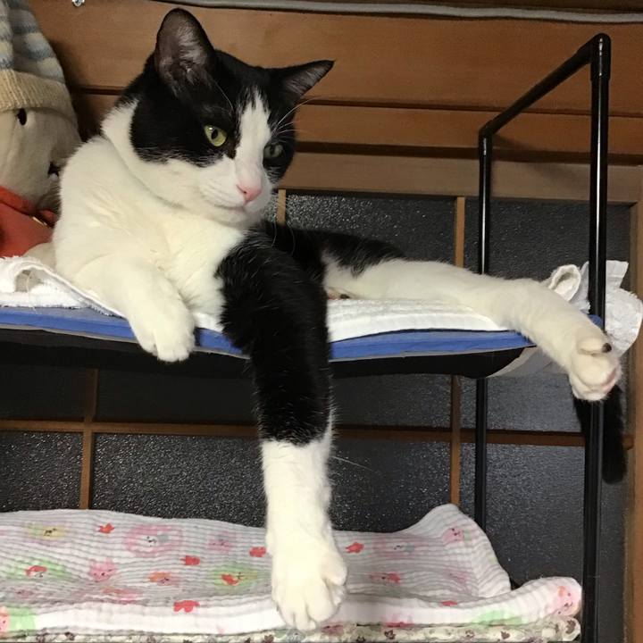 D5205899 0fdc 4b16 ab46 b1b12cce095e 1757922900334