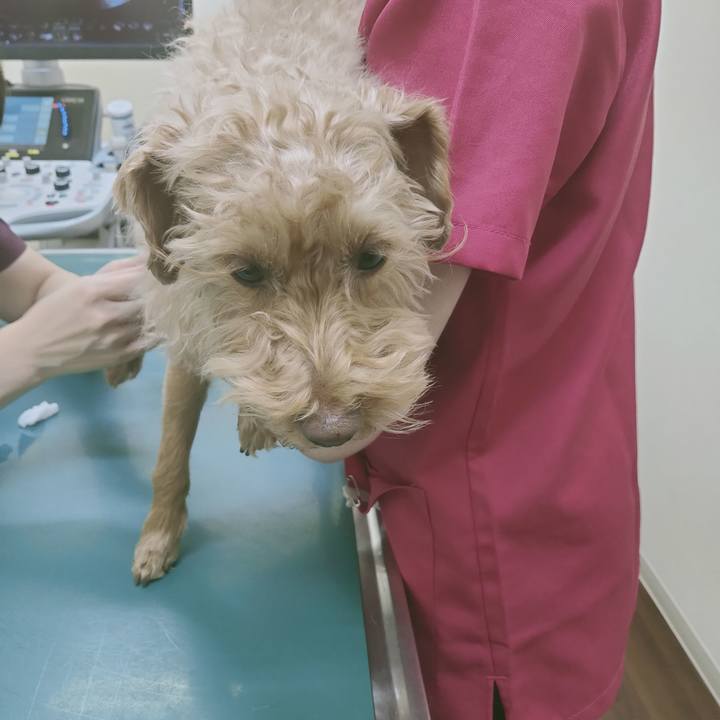 D5205cf6 c658 4cbf a5c8 fa906201887d 1613128407004