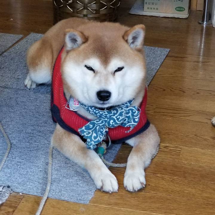 D520790a 20c5 4f60 b0b8 07507aeed54d 1517622441822