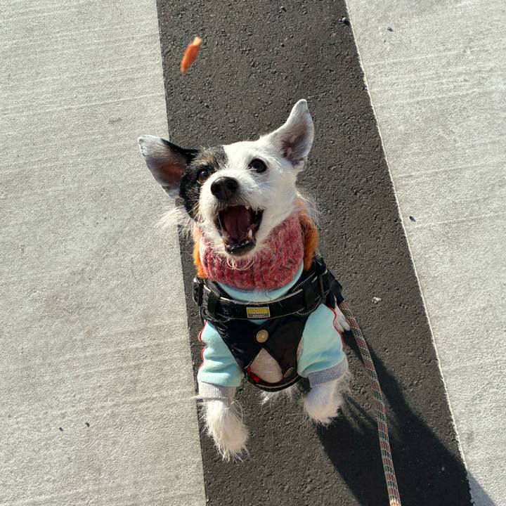 D52096f5 9ad2 4909 9b69 c97adc32db53 1769385161082