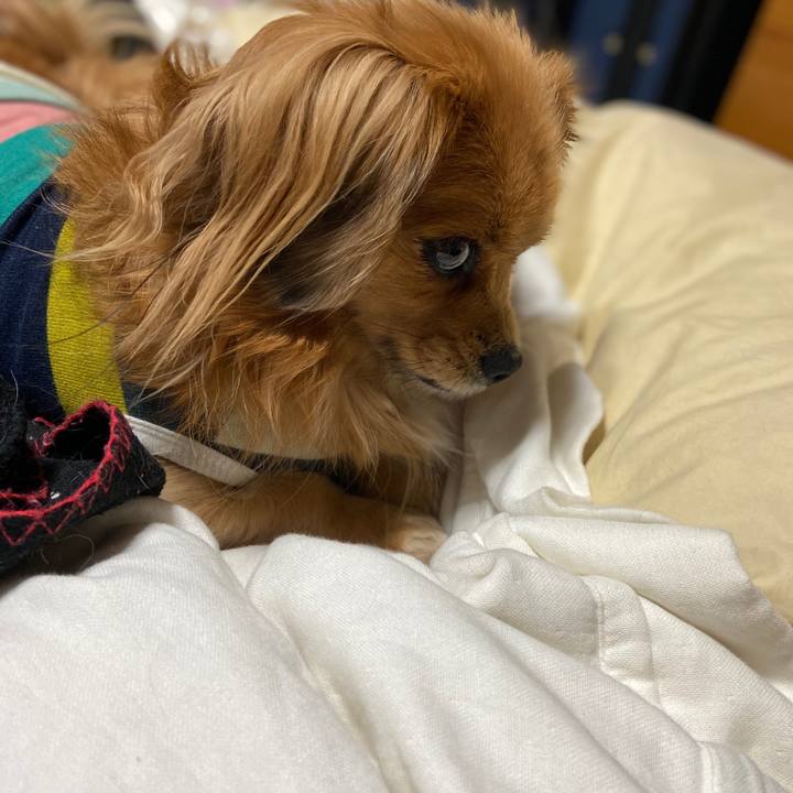 D520b9ff f323 4c80 91e6 49c4e1d54a10 1576363791066