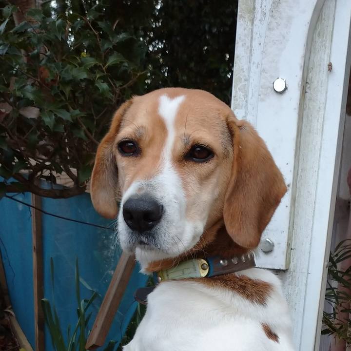 D520c207 c0c2 4e37 84e2 7d8abf65da02 1611067380003