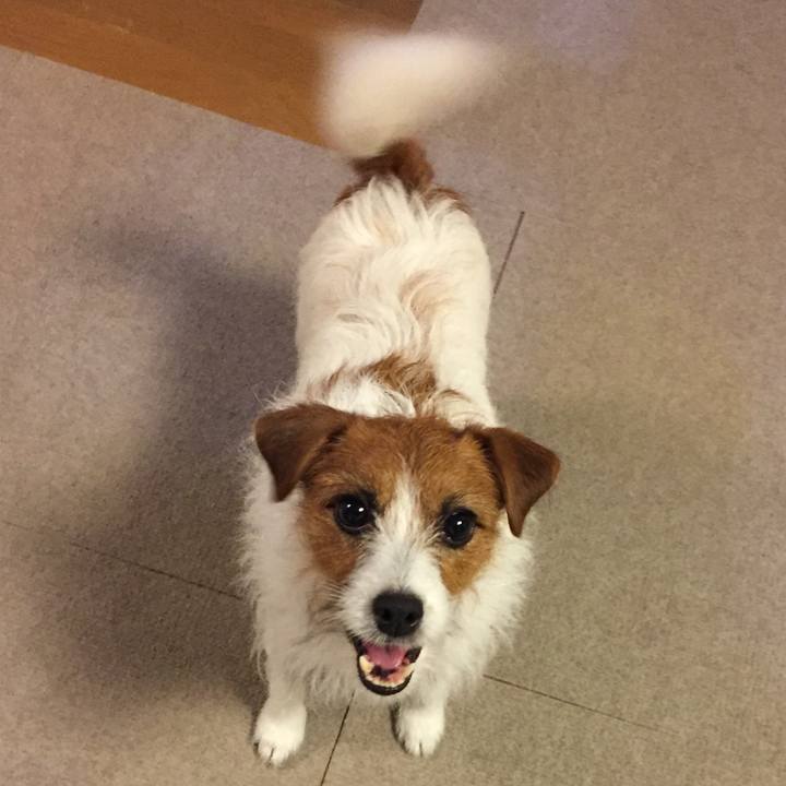 D520f6c8 6a1b 4895 b3f7 7c9f675836ec 1517221119078