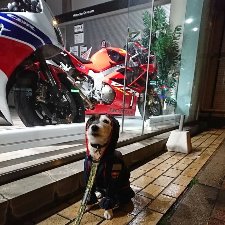 D520fa9f ea3e 4d77 812a 1c231db59e95 1521202296936