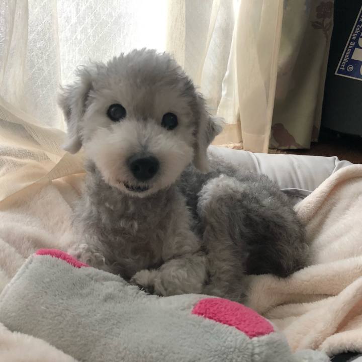 D5213e03 1840 49ea 9f48 446f05446bfd 1660359921392