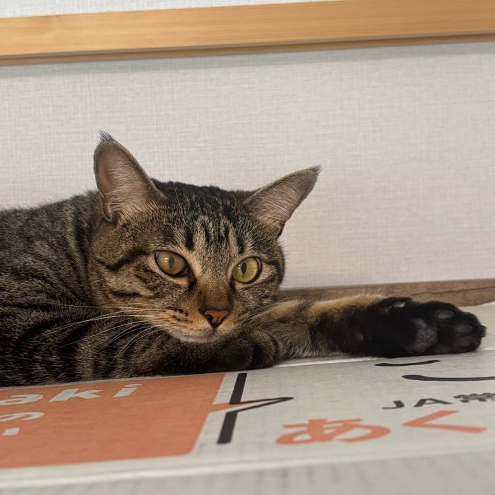 D5214d86 8a56 473a a9d8 d111f9fab449 1758244683824