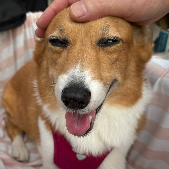 D5216f53 de04 4e96 b260 84ec819ce5c0 1727143578358