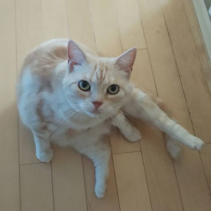 D52182e2 043f 4684 9c42 a8efcfbad6f5 1563319795176