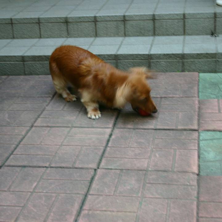 D5218ebd 4057 4ce4 9741 17d76c09cd1d 1527440511358