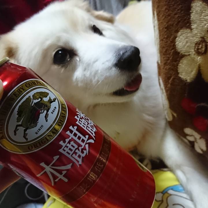 D5218ec5 d08b 4f99 8c32 4ffac7a2a547 1525517652018