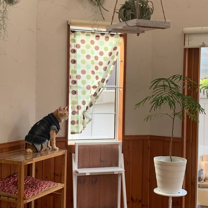 D521b802 584b 4dfc b1b1 b2d82e56ff94 1654117562663