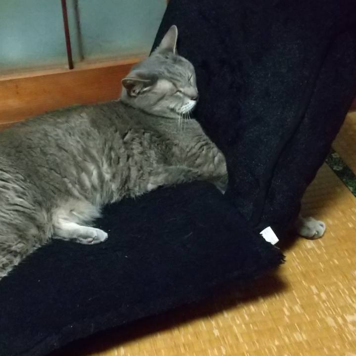 D521ce00 79a0 45fd bd83 8e64c0efb68a 1686402327972