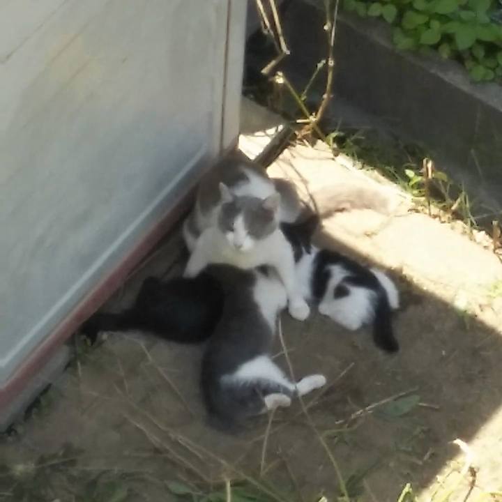 D52218eb 04ac 4282 91c4 9b2972a45ef7 1527990801125