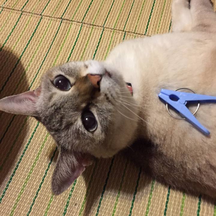 D52231e8 55c4 4325 9b96 762ad36e1aa0 1532347460571