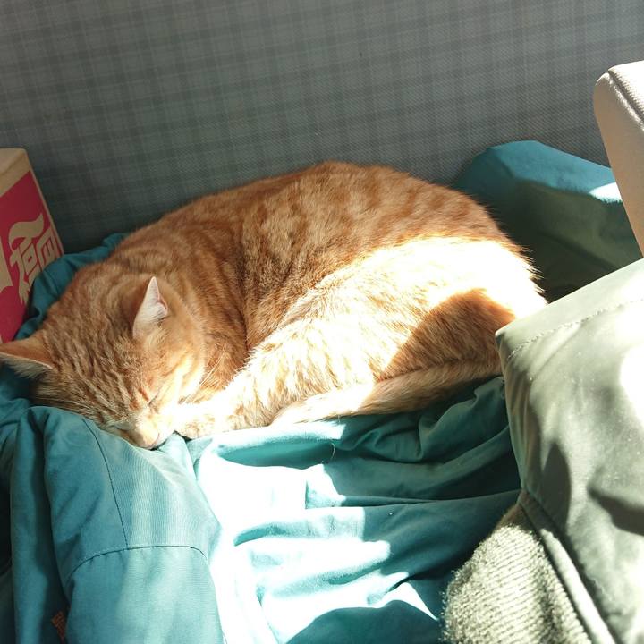 D5223d73 9d3a 4971 bf6b ae72430a241e 1583546253624