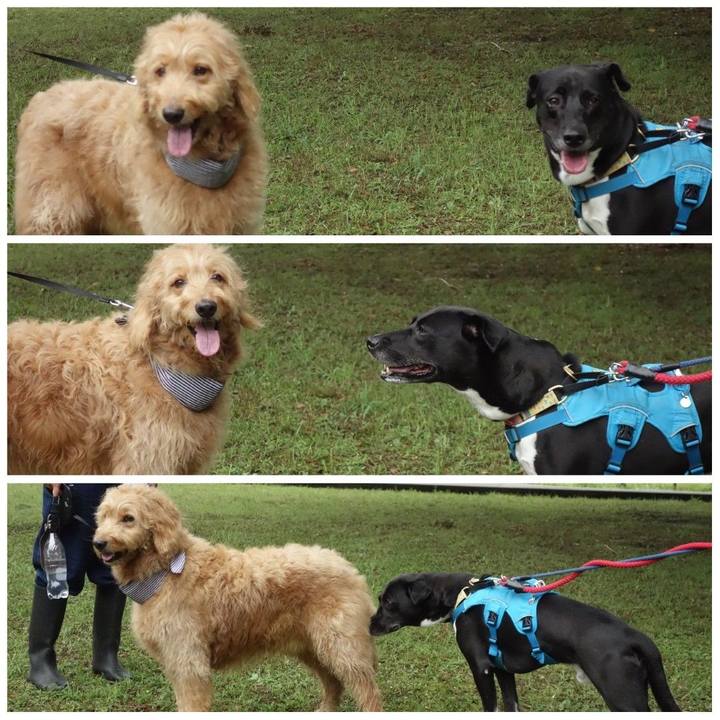 D522419d 189c 4181 8e8c 039cc5e577ed 1630458742370