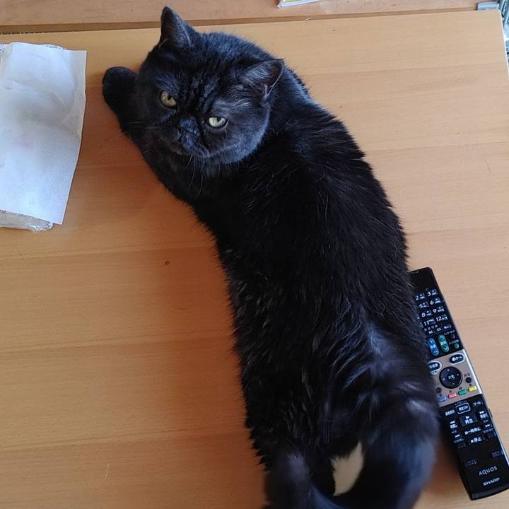 D5224728 362f 46db 9b4e b718c10b49f8 1626936548169