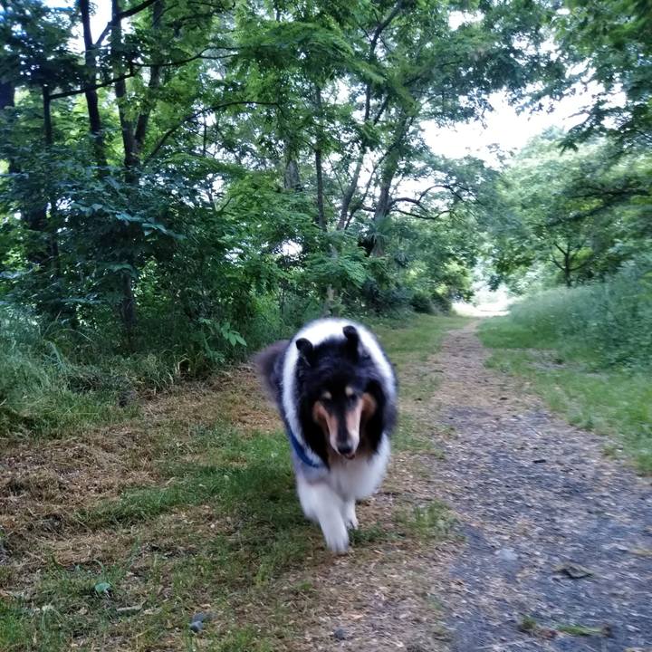 D5226b54 f7ae 44f7 a37b c9994ba89241 1528614780928