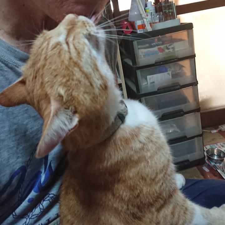 D5228988 0c94 4ebc afc4 64e003f0bfca 1595195172341