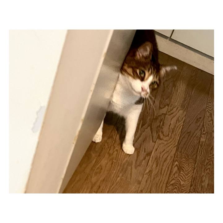 D522adca 1498 4448 b8e9 130635d3c0de 1670906086503