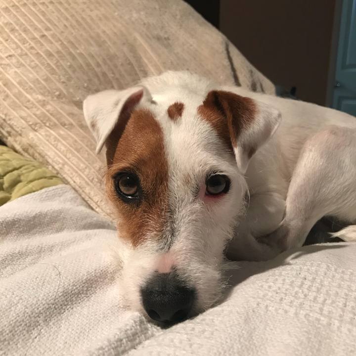 D522d1a7 bbd7 4a3f 9197 bddc7b6d35f6 1527684619482