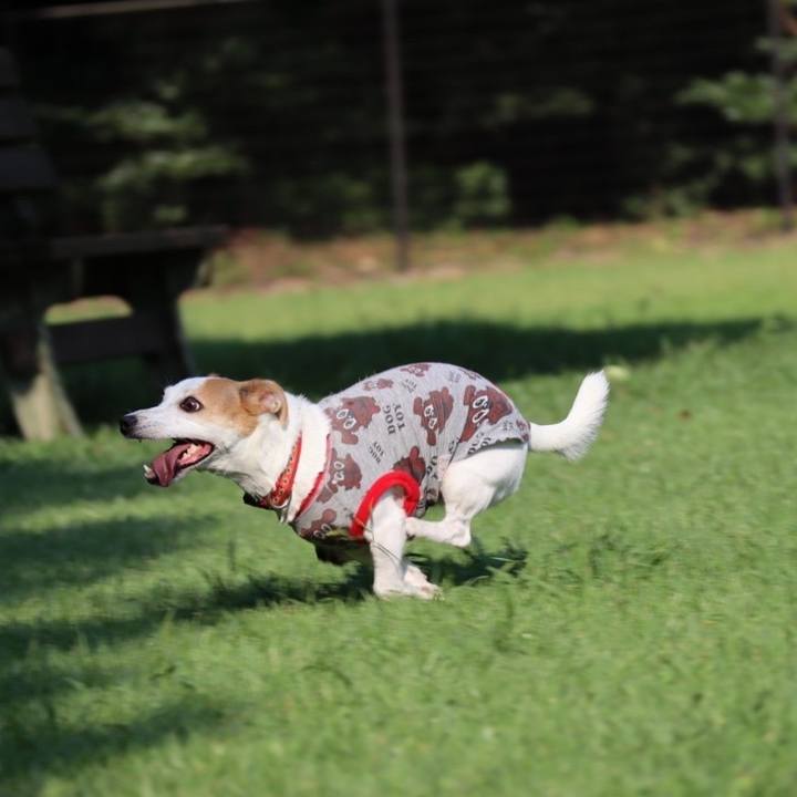 D522d26b 0ebe 488f a5b7 e9a50f9fab48 1632391738929