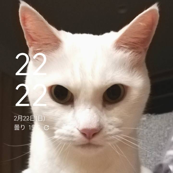 D522d4a8 0e62 448e b764 3c0b29227e84 1771766659065