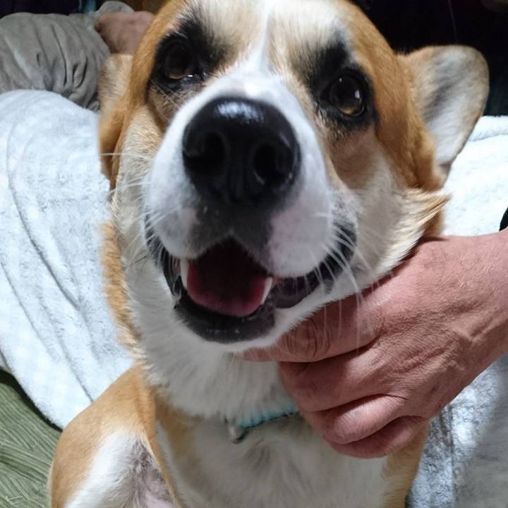 D522f853 86fe 4ff5 8201 c4bd5dff3ffe 1610437415869