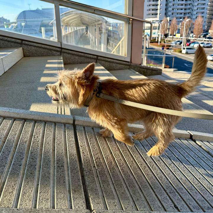 D5231b53 63ff 45f7 bfaa f83069f21877 1709475059090