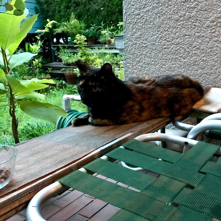 D52332cc 743c 4927 b8f6 436e3cc45efc 1532145379666