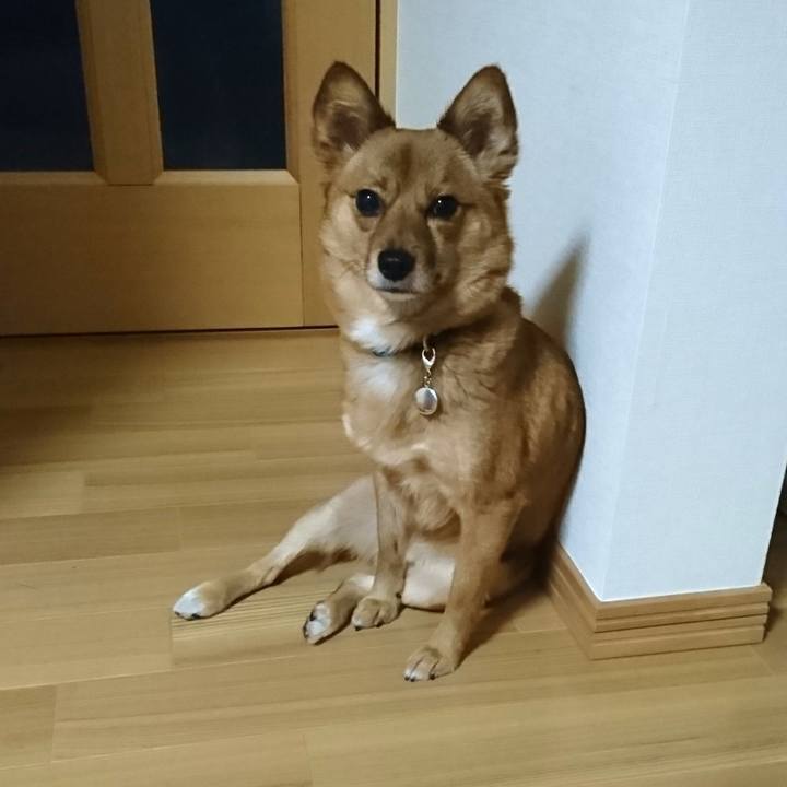 D5233f37 f60a 4fe3 a22b 2a9647fd6e0c 1521806695328