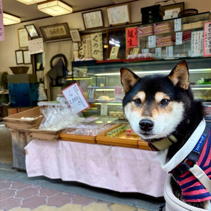 D5234e57 5a7f 4320 9363 041cc728a3cb 1767170547654