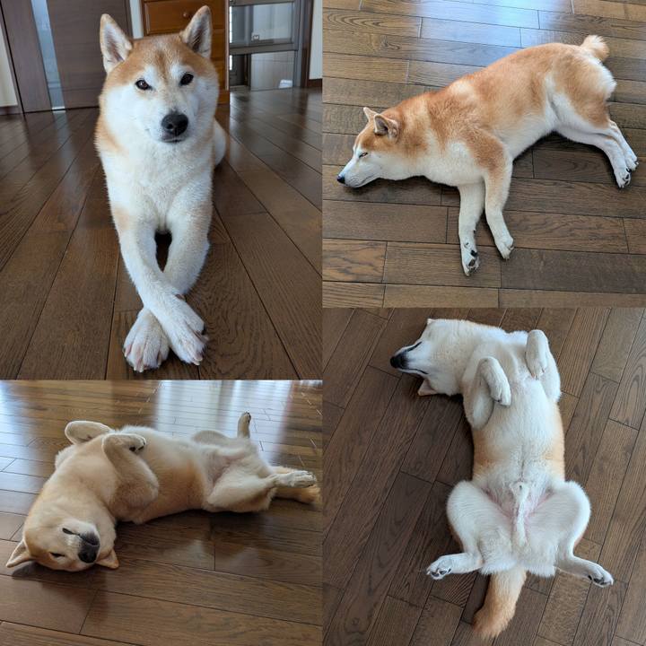 D523acf6 e406 4b6c 879e 32a8a29e6a71 1757919113255