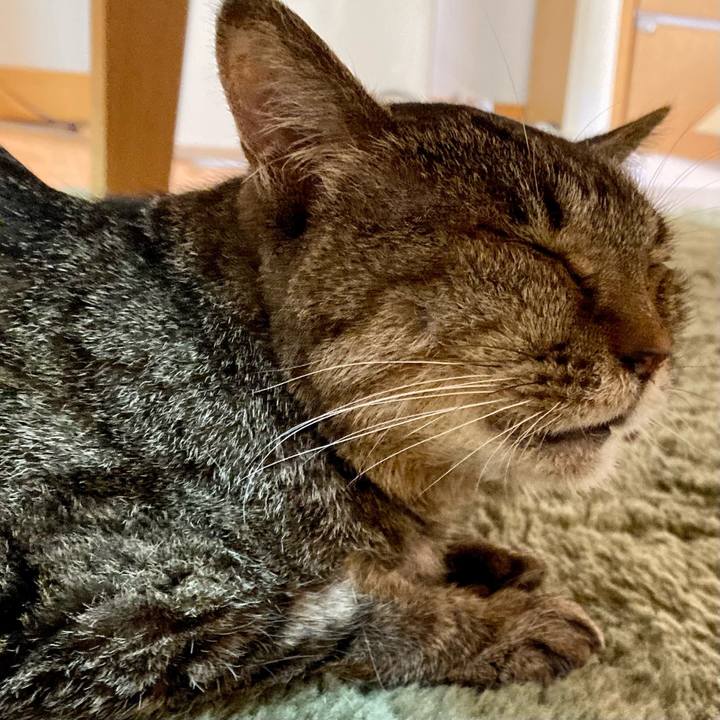 D5241937 c72d 459e acfc b56f3ce3320b 1686572453834