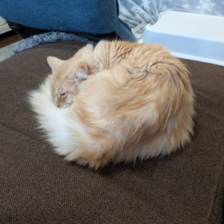 D5243fb3 b8c1 4c71 b9e2 3262c72f22f3 1734653522515